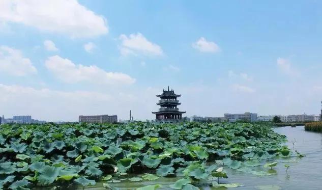 夜游华阳湖旅游攻略,国庆夜游华阳湖