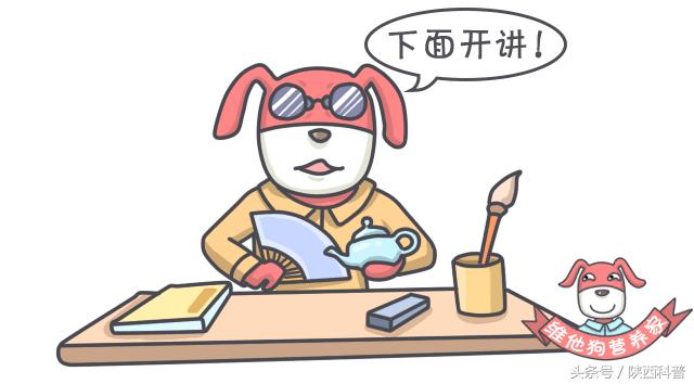 肚子胀气隐隐作痛打嗝放屁,肚子胀气咕噜屁多吃什么药