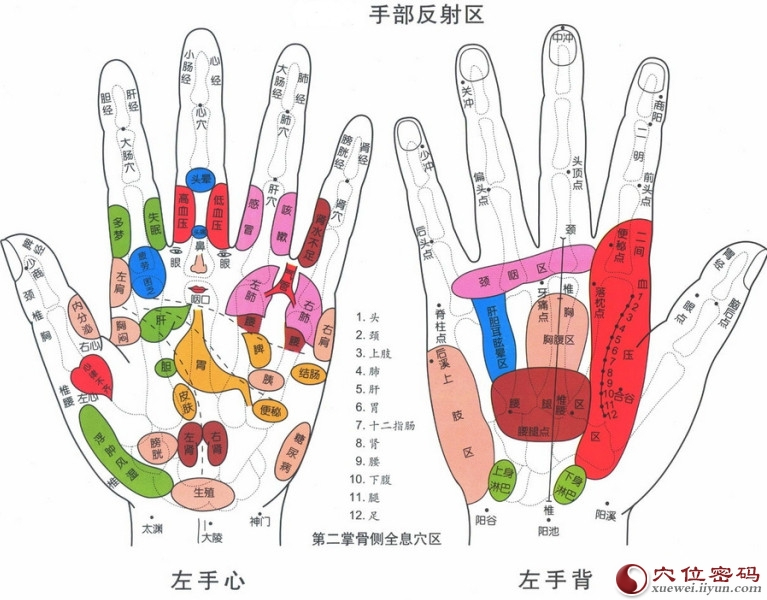 利用穴位可以调节五官病症