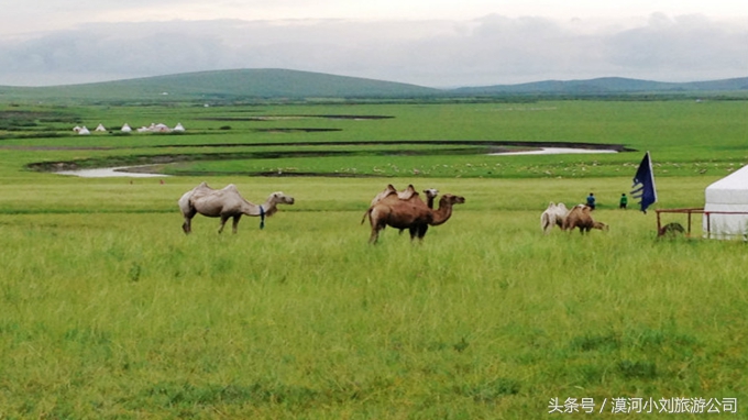 呼伦贝尔最美公路,组团去呼伦贝尔最美公路超全攻略