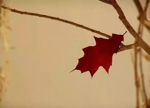 科普颜色的奥秘,颜色知识讲解大全