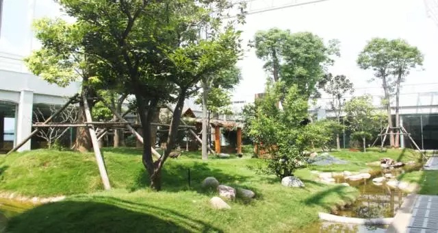 大信橱柜拐角设计效果图,大信秀纳橱柜