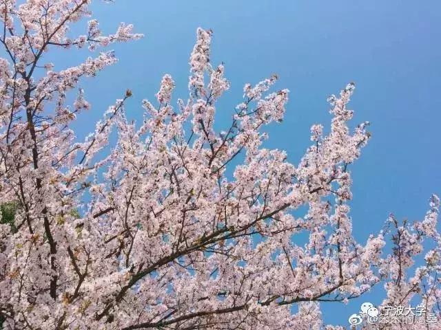 简笔画五颜六色的春天,简笔画画春天的景色