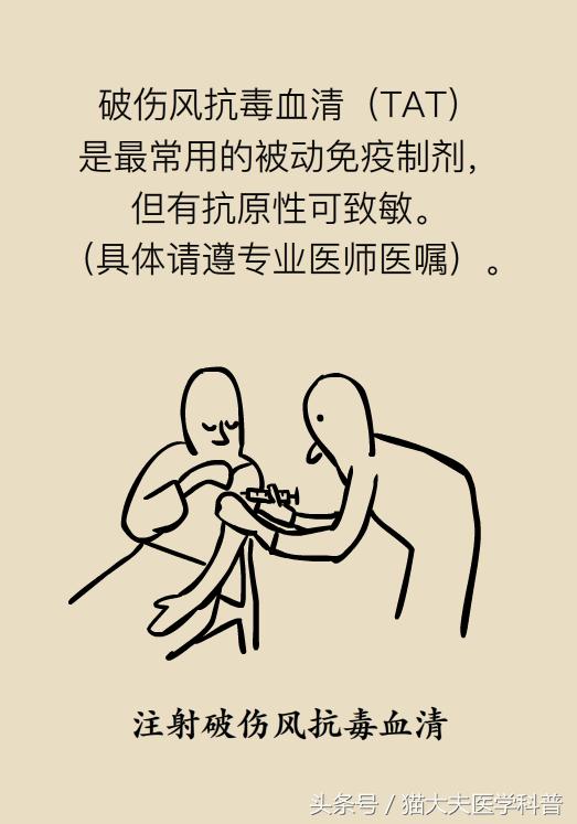 破伤风是破一点见风就会得吗,破伤风与伤口见风有关系吗