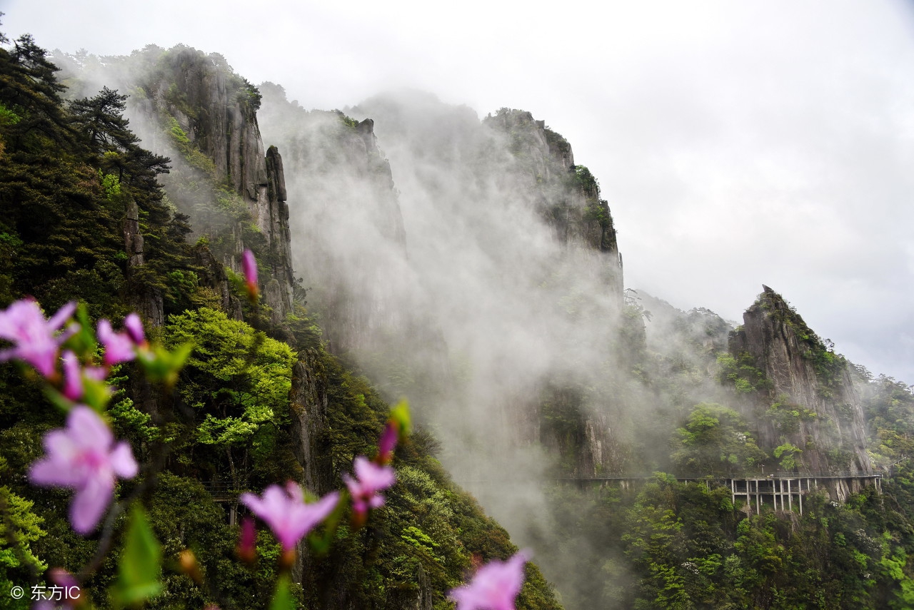 古人人生哲理诗句,有哲理的经典诗句解读