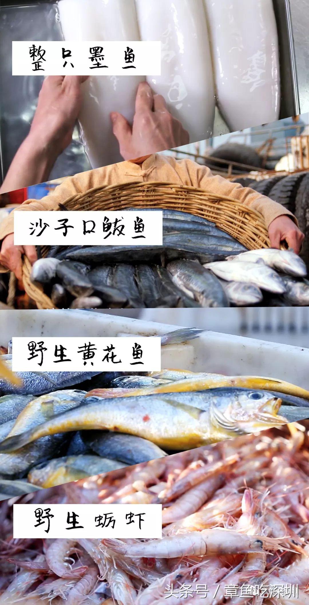 登上舌尖的鱼水饺,登上舌尖上的中国鱼水饺