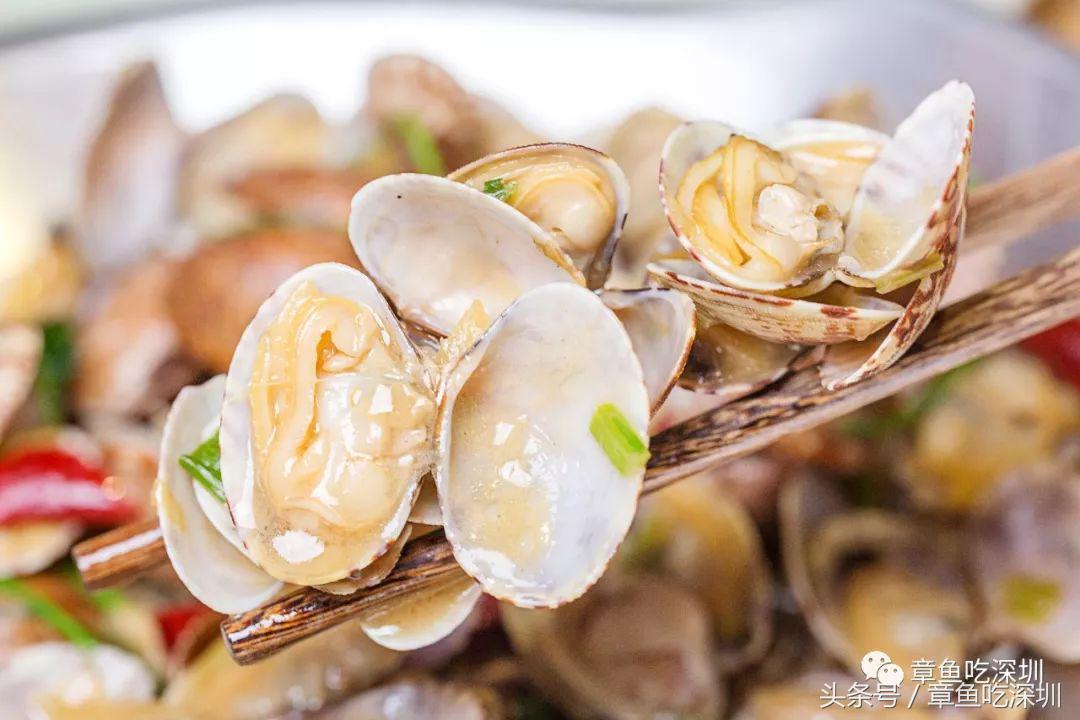 登上舌尖的鱼水饺,登上舌尖上的中国鱼水饺