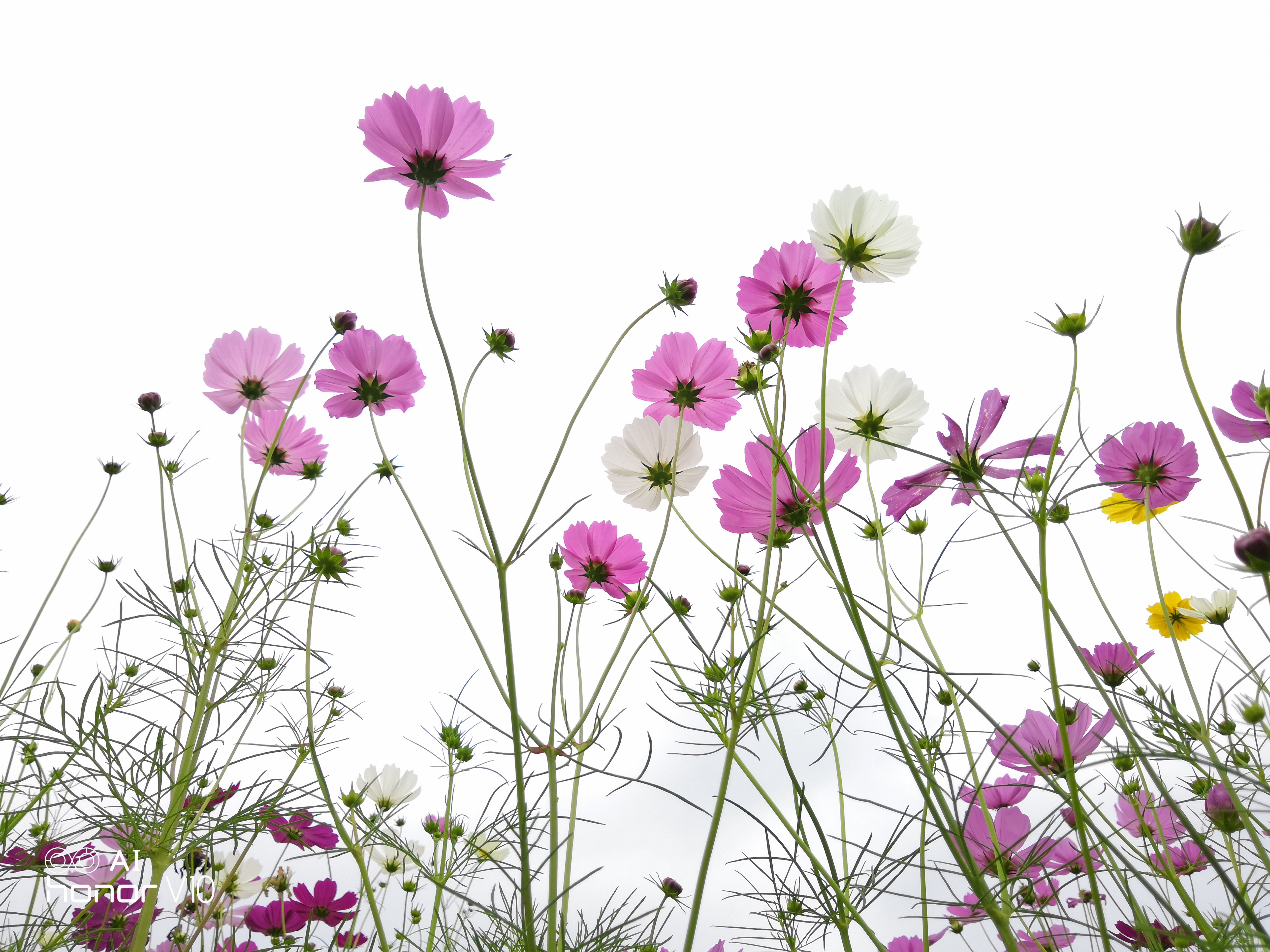 手机的100个常识,手机常识100个小知识