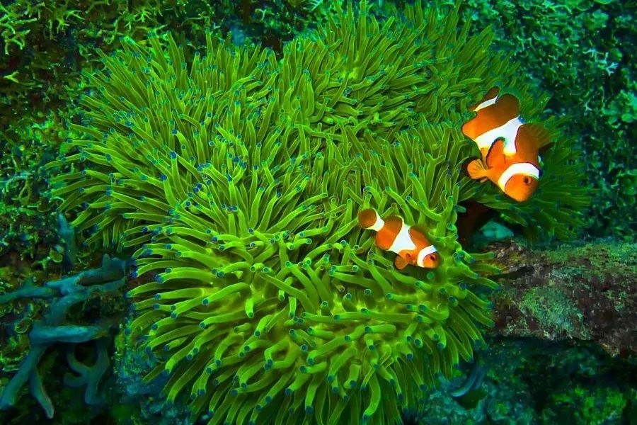 记录三亚快乐之旅留下美好的回忆,遇见初心合集