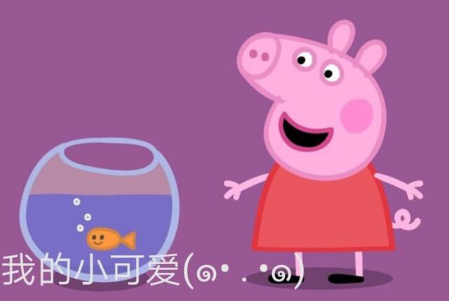 推荐小猪佩奇的表情包,吹风机和小猪佩奇合体是什么样子
