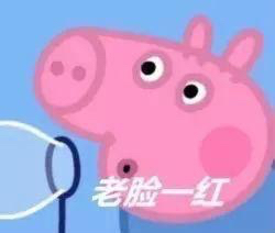 推荐小猪佩奇的表情包,吹风机和小猪佩奇合体是什么样子