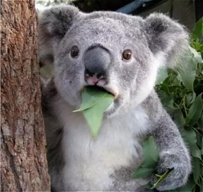 紧急情况手机没信号怎么办,手机连移动硬盘供电怎么解决