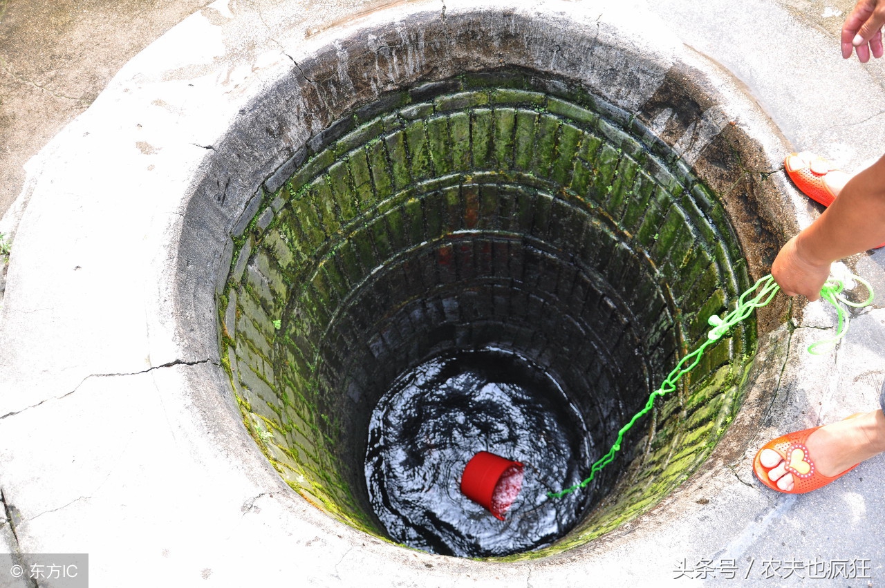 甲鱼塘墙里为啥有甲鱼,为什么新挖的水塘里面有甲鱼