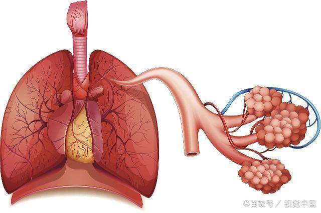 宝宝白天不咳晚上咳嗽是怎么回事,宝宝白天不咳嗽夜间咳嗽怎么回事