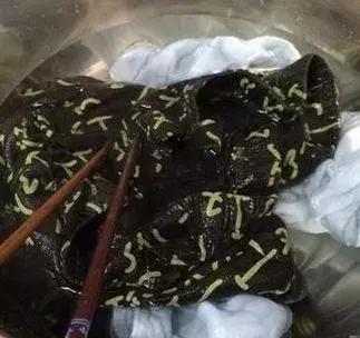 热水壶煮内裤行不行,热水壶煮袜子内裤还能再用吗