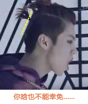 圆头扁头对颜值的影响,扁头对颜值的伤害