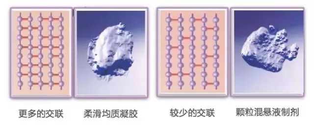 你知道玻尿酸但真的了解它吗,你不知道的玻尿酸小秘密