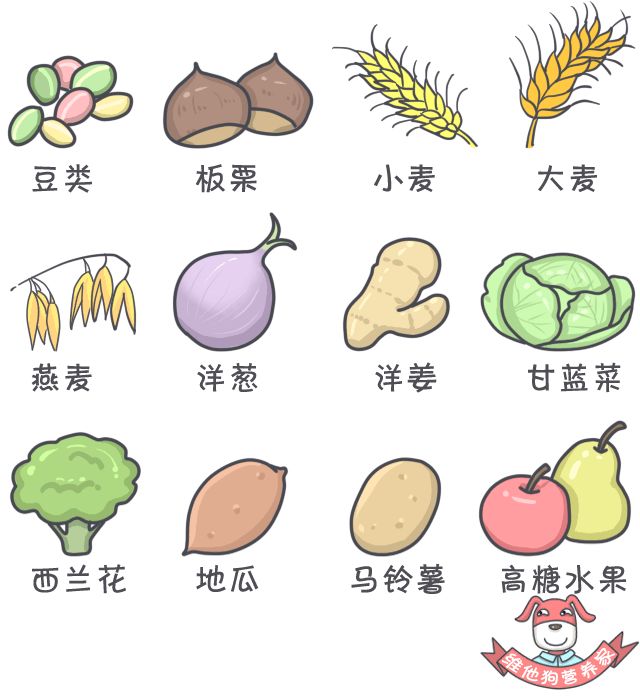 肚子胀气屁大,肚子胀气屁多吃点啥药