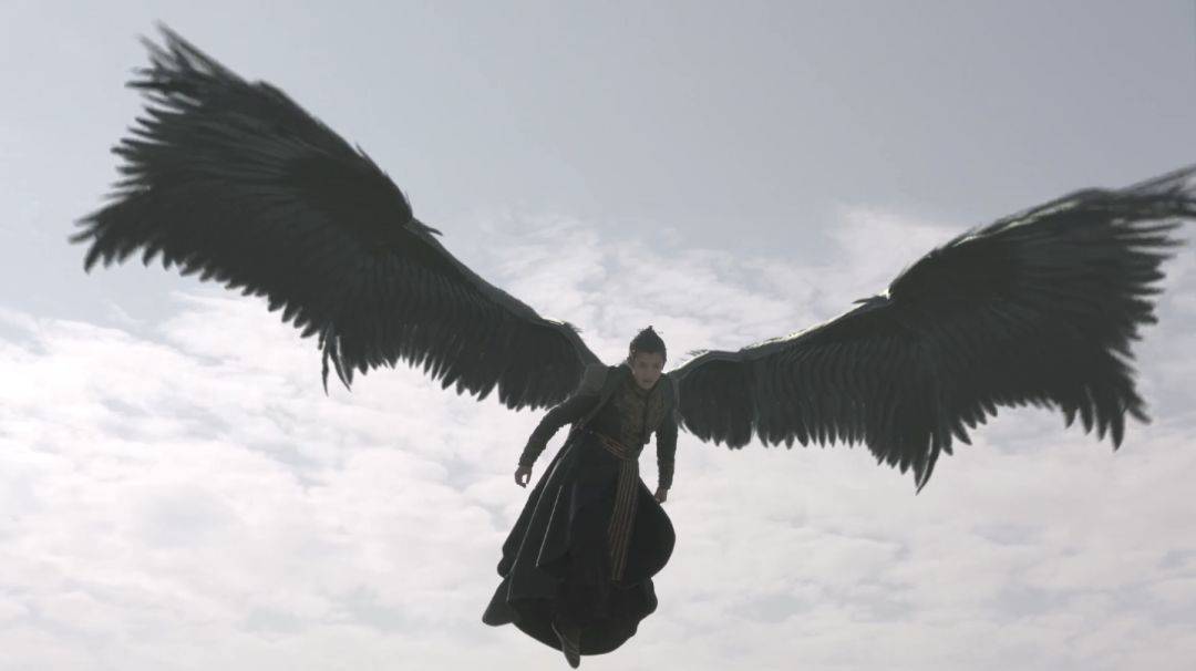 有本事你就上天,结果《莽荒纪》里的他挥着翅膀一直在天上飞!