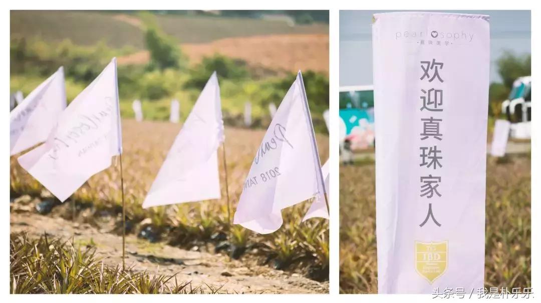 真珠美学和奢悦哪个好,关于真珠美学所有问题