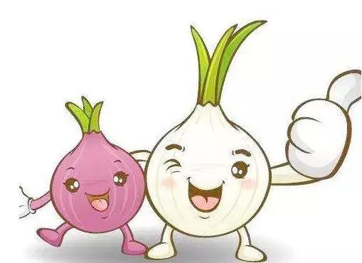 西昌20万吨洋葱在等待，与政府一起发力，别让洋葱相信眼泪！