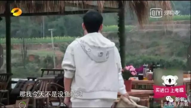 吐槽张杰土味视频,张杰吐槽土味视频