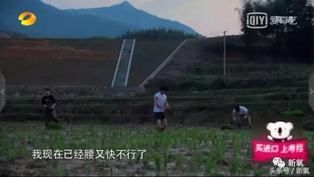 吐槽张杰土味视频,张杰吐槽土味视频