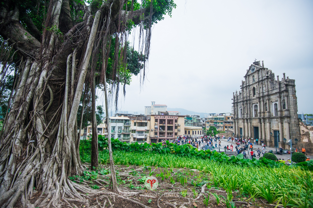 澳门打造世界最大水舞间,澳门水世界表演