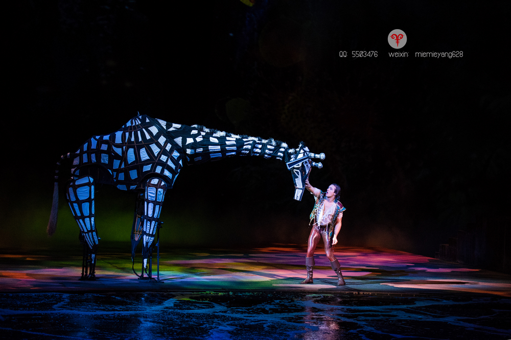 澳门打造世界最大水舞间,澳门水世界表演