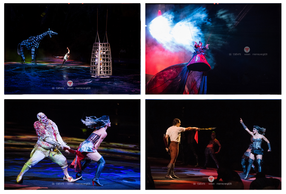 澳门打造世界最大水舞间,澳门水世界表演