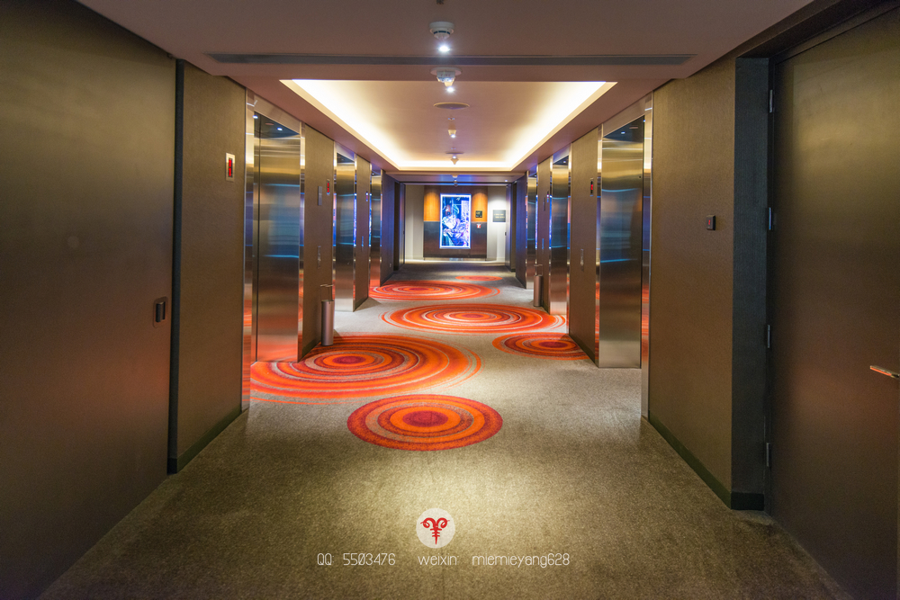 澳门打造世界最大水舞间,澳门水世界表演