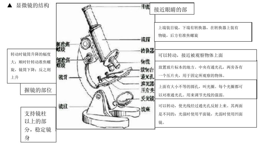 2018中考生物知识点总结（图文并茂），喜欢的朋友记得收藏或转发