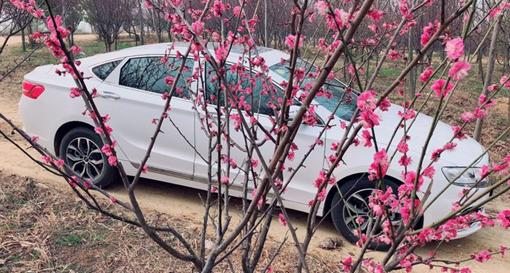 中国最好三款车吉利博瑞,国产b级车销冠吉利博瑞