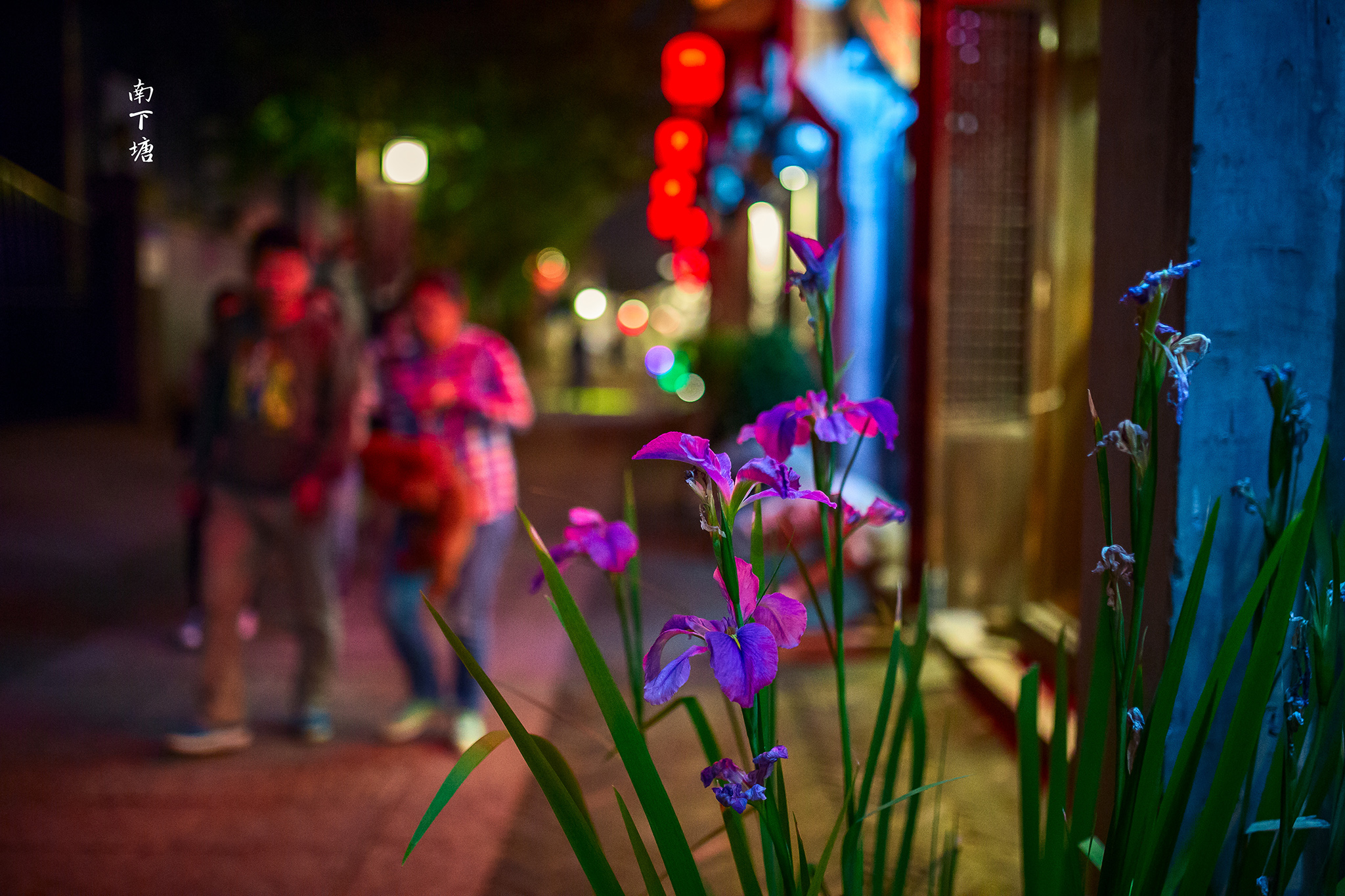 无锡南长街夜景视频,描述无锡南长街夜景的句子