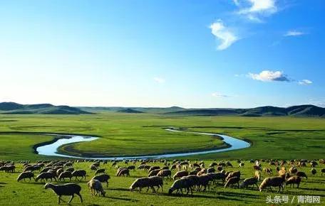 青海西宁蔬菜最近的价格,西宁水果蔬菜价格表4月