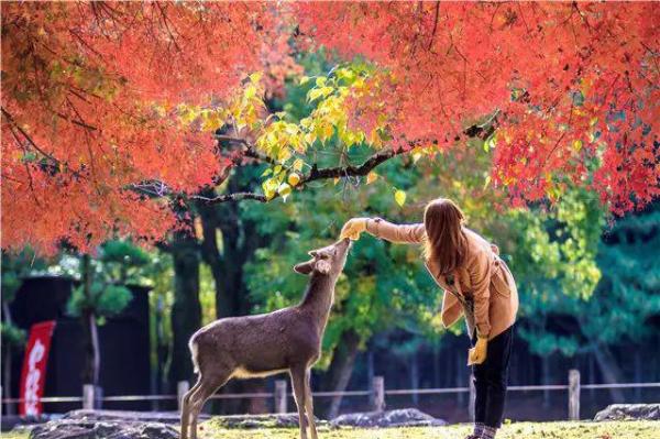 跟拒签说NO！教你如何提高你护照含金量！