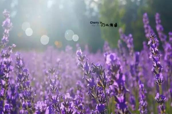 跟拒签说NO！教你如何提高你护照含金量！