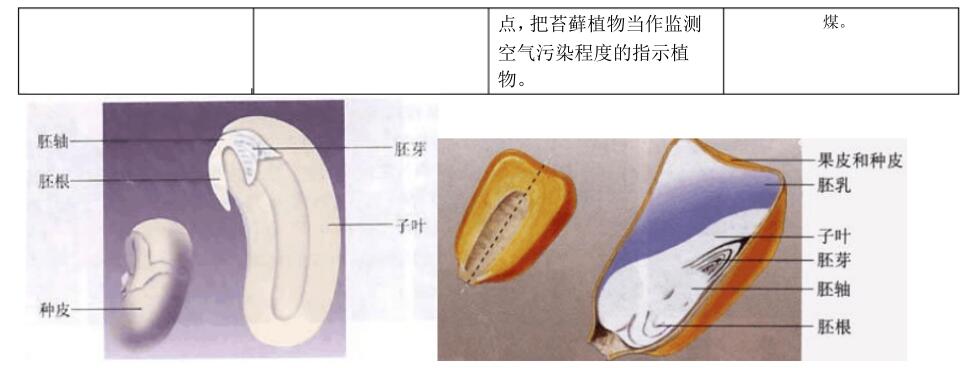 2018中考生物知识点总结（图文并茂），喜欢的朋友记得收藏或转发