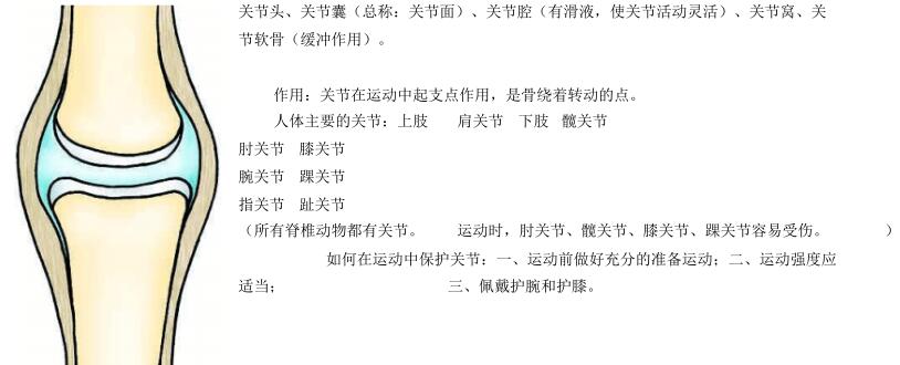 2018中考生物知识点总结（图文并茂），喜欢的朋友记得收藏或转发