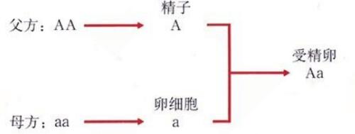 2018中考生物知识点总结（图文并茂），喜欢的朋友记得收藏或转发