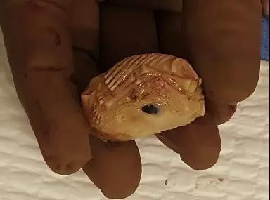 鐭宠儙妗堜緥璁板綍,鐭宠儙姘戦棿鏁呬簨