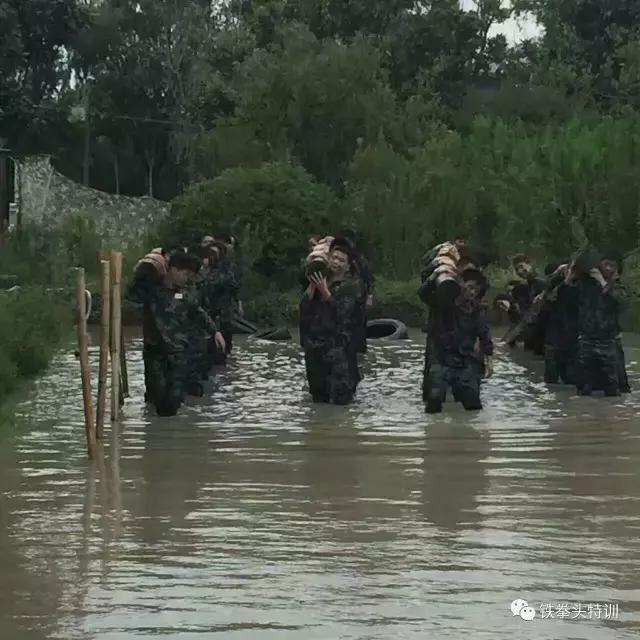 铁拳头教育培训中心,铁拳头训练方法