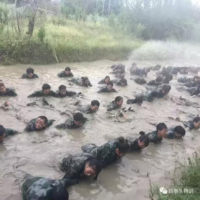 铁拳头教育培训中心,铁拳头训练方法