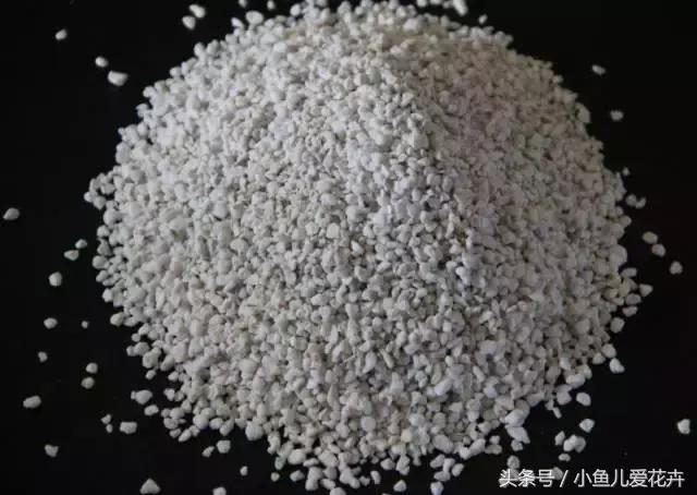 新手养肉肉最好用什么土,新手养肉配土