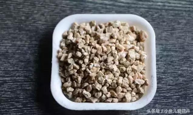 新手养肉肉最好用什么土,新手养肉配土