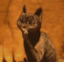 *裤内**多久换洗一次？多久换一次新的？这些健康知识你都知道吗