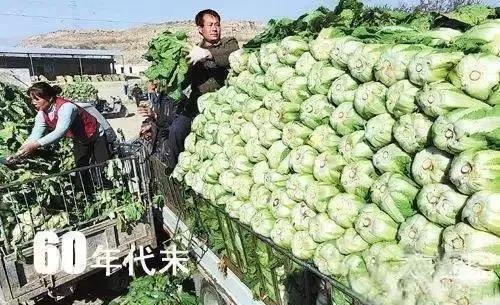 在深圳100块可以买什么,深圳10块钱能买什么