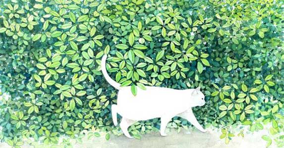 男生表白遭拒后被路过女子截胡,男子表白失败被另一女子截胡