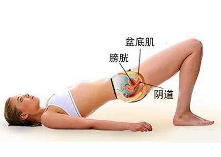 女性盆底健康的意义,盆底肌对女性有什么作用