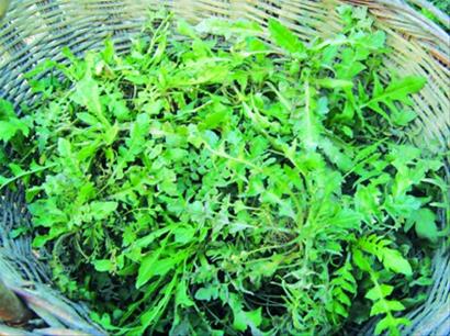 宫颈炎吃维生素多的食物,宫颈炎要注意不能吃什么